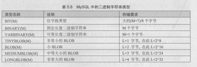 二進制字元串