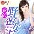 我的野蠻女友(南喬有木著長篇小說)