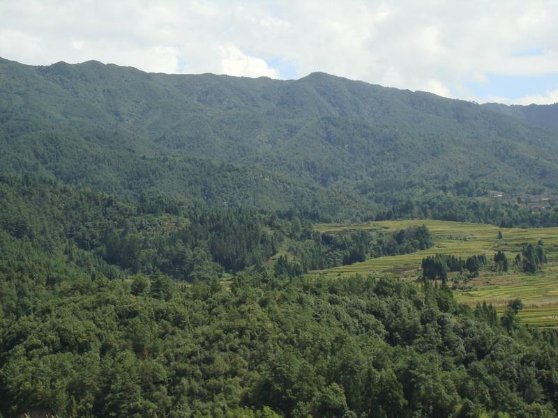 龍家營自然村(雲南昭通魯甸縣新街鄉酒房村委龍家營自然村)