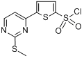 5-（2-甲基硫代嘧啶-4-基）噻吩-2-磺醯氯