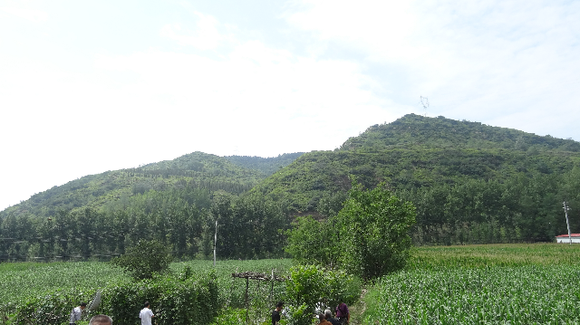 平定荊花蜜產地環境