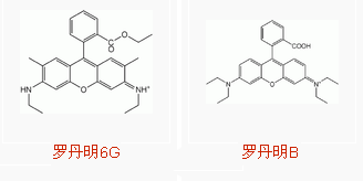 羅丹明