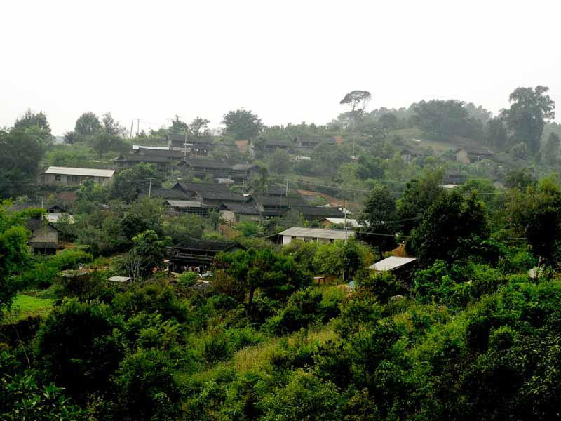 松山林村(雲南省瀾滄拉祜族自治縣謙六彝族鄉松山林村)