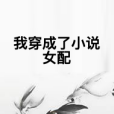 我穿成了小說女配