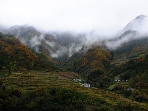 化龍山自然保護區