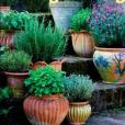 Better Homes & Gardens Herb Gardening