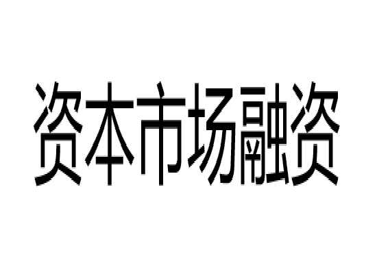 資本市場融資