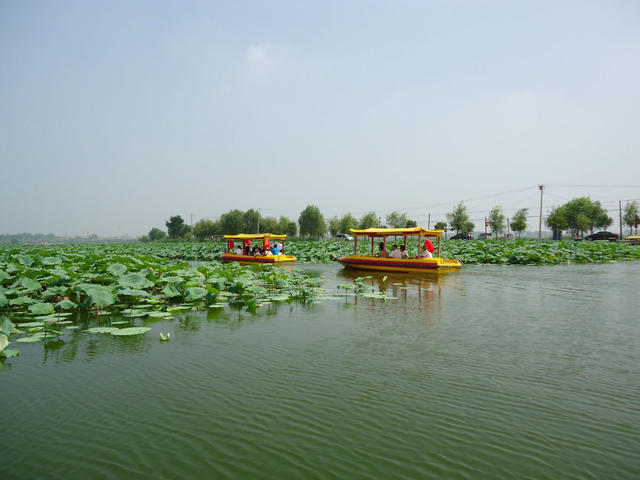 龍湖(河南省淮陽縣所轄湖泊)