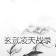 玄武凌天戰錄