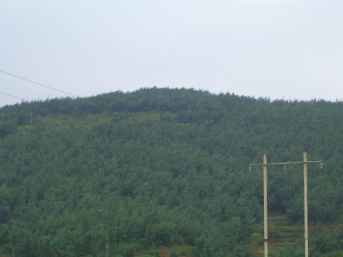 火燒田村(雲南昆明市尋甸縣柯渡鎮下轄村)