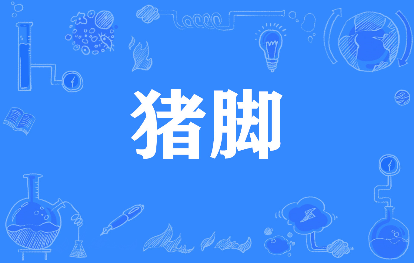 豬腳(網路流行詞)