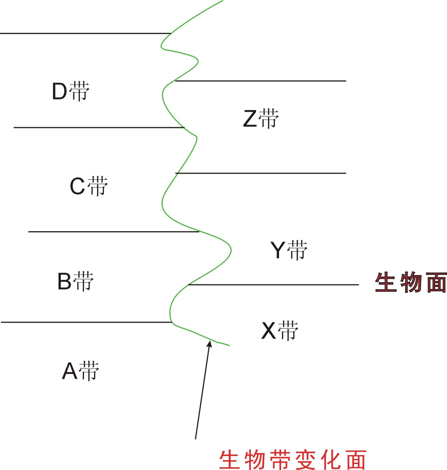 生物地層帶之間的疊置關係