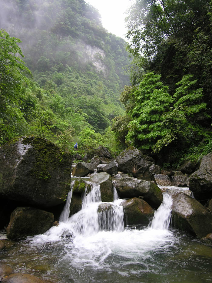 油杉河旅遊區