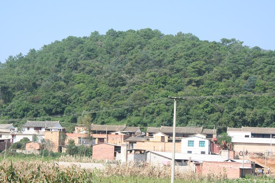 花樹腳村(雲南省紅河州石屏縣壩心鎮花樹腳村)