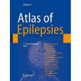 The Atlas of Epilepsies