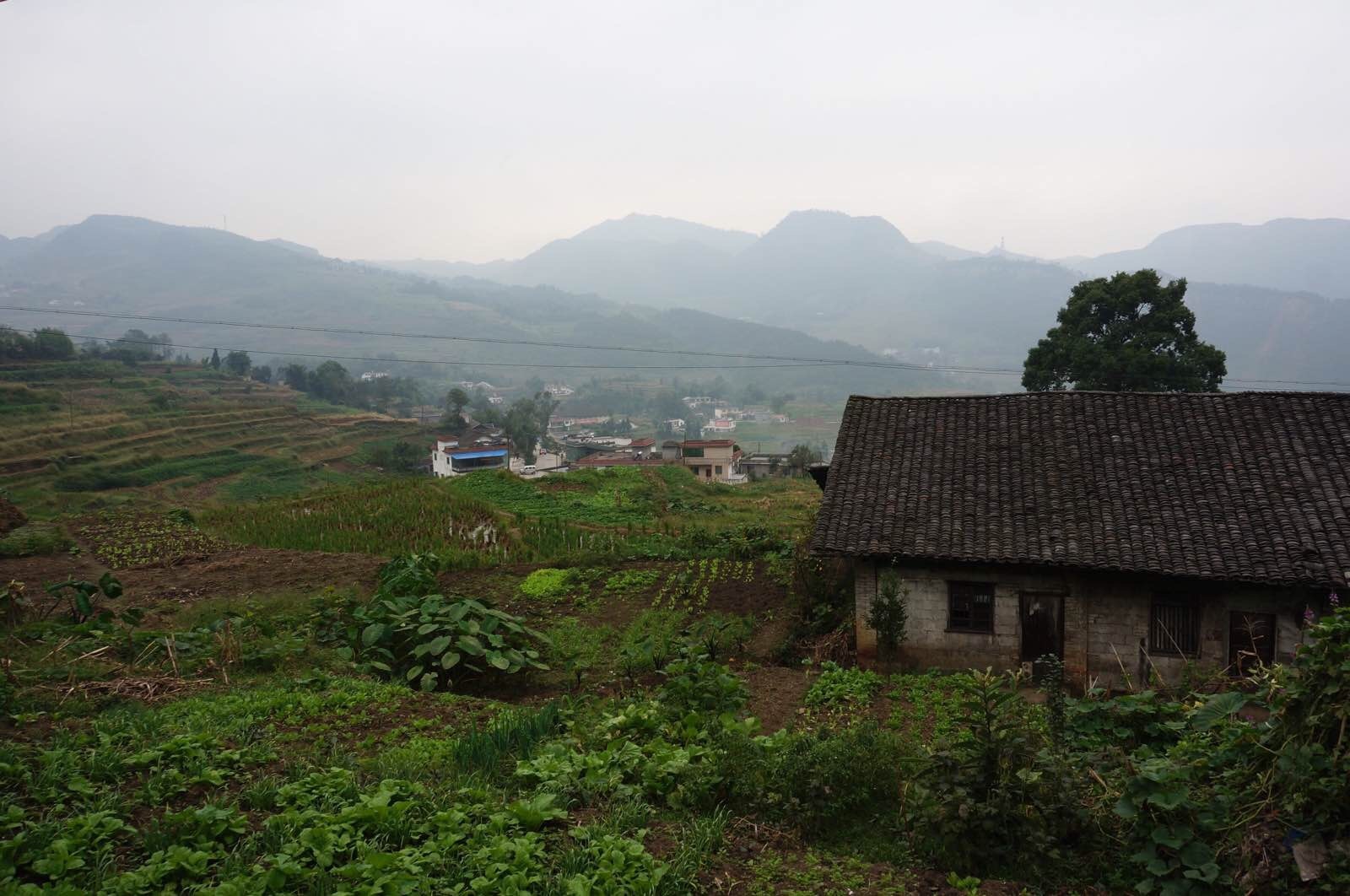 楊梅山村(雲南省保山龍陵縣龍山鎮楊梅山村)