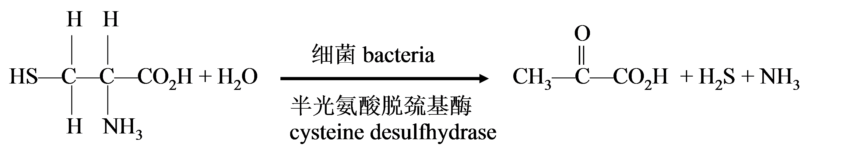 水中異味物質