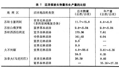 沼澤生態