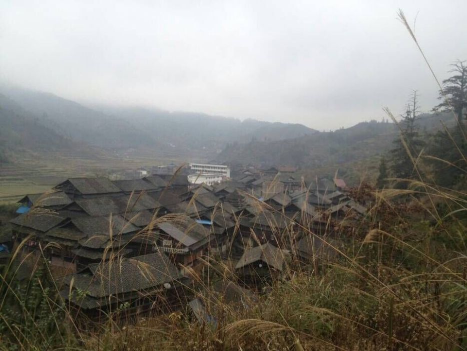 糯谷田村(雲南省昆明東川區銅都街道辦事處糯谷田村)