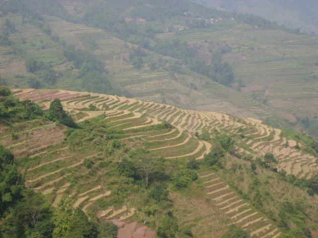 田房組村