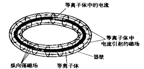 圖2  環形電漿