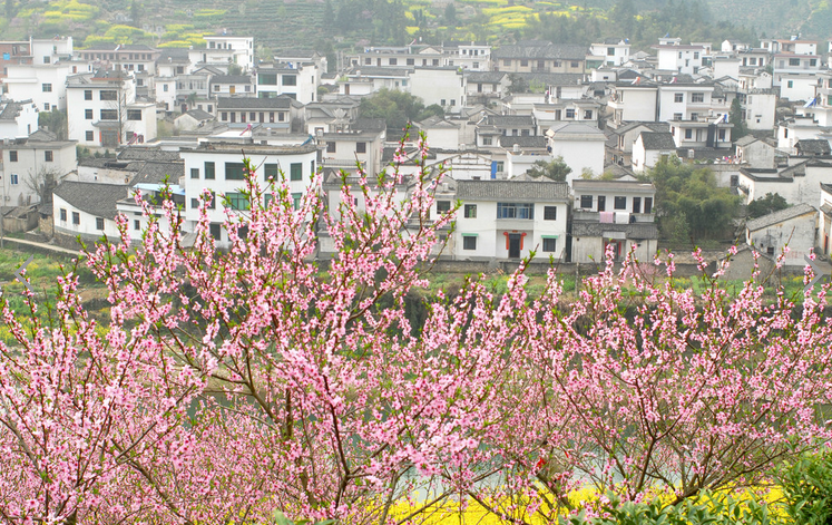 桃花村(雲南安寧市連然鎮下轄村)