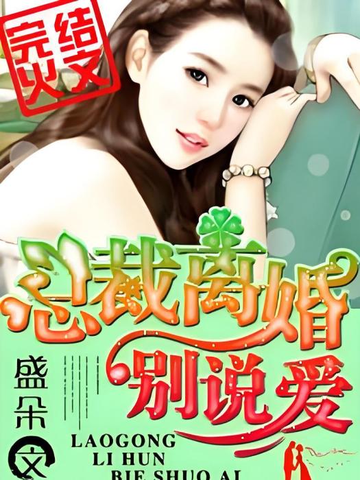 總裁離婚別說愛(盛朵著網路小說)