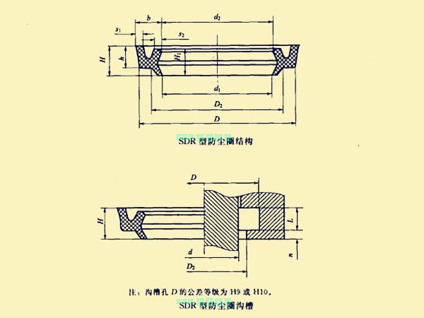 SDR型防塵圈的結構及溝槽