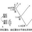 分子進化