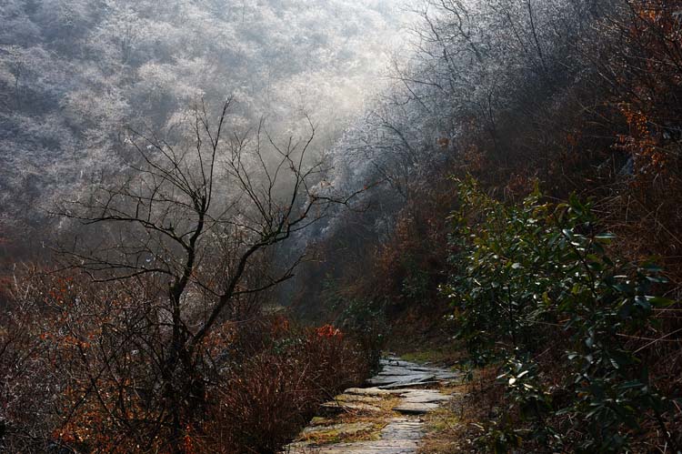 箬嶺古道