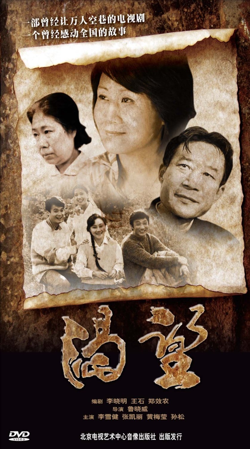 渴望(5DVD)（李雪健，張凱麗等主演，高清壓縮版）