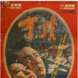 有情(1966年金洙容執導韓國電影)