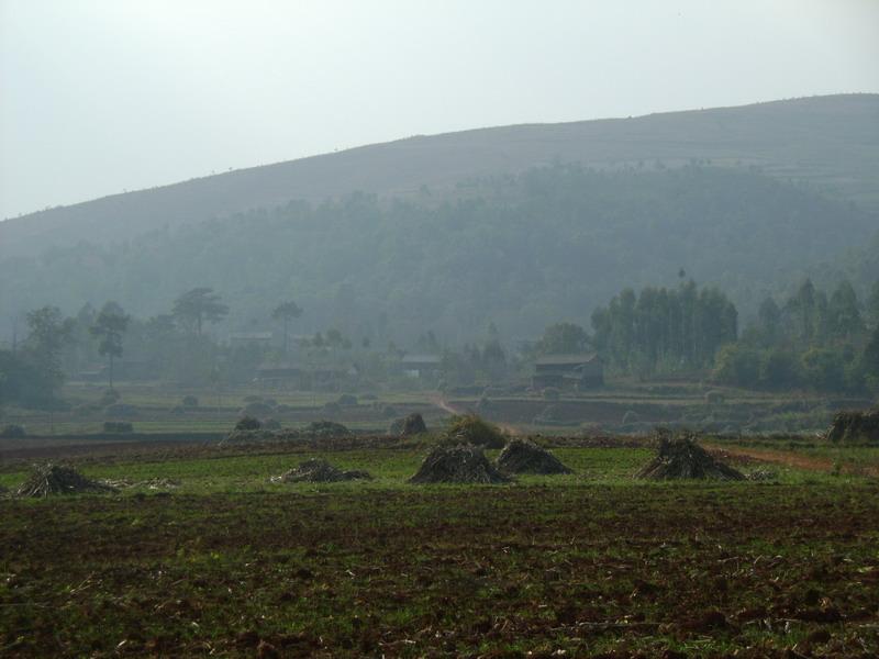 苦魯寨村