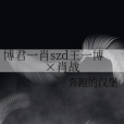 博君一肖szd王一博×肖戰