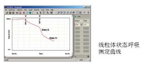 Oxygraph液相氧電極