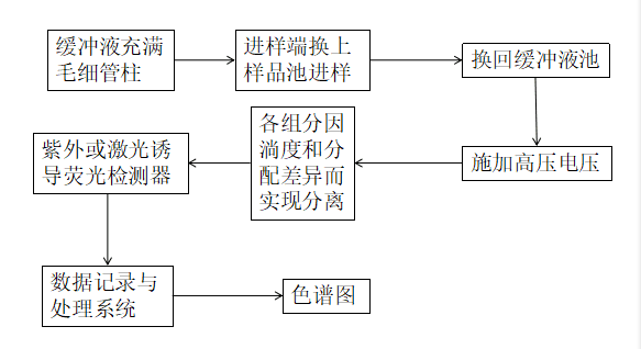 圖2 CE工作流程圖