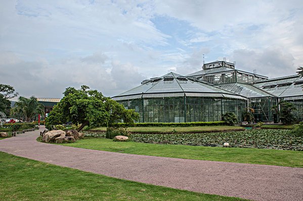 諾福克植物園