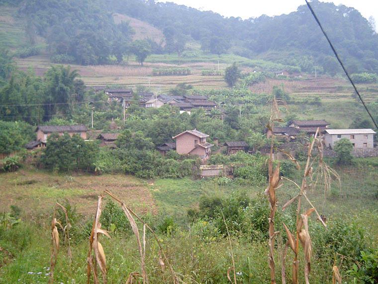 新建、路邊自然村