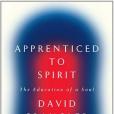 Apprenticed to Spirit