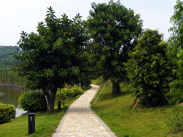 蘿崗創業公園