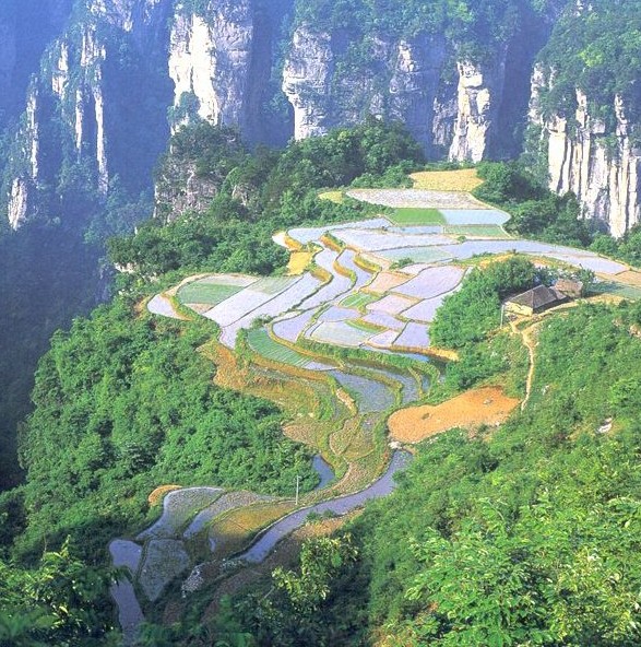 杭州到張家界自助游網