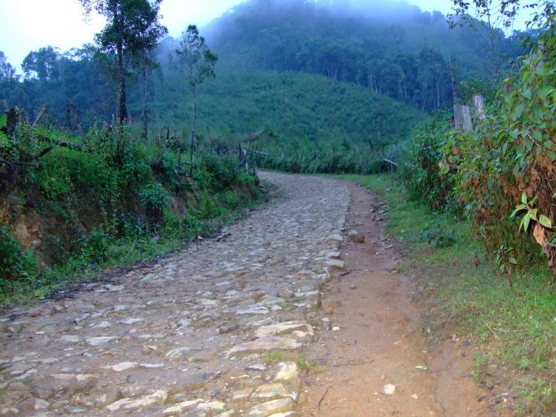 交通道路