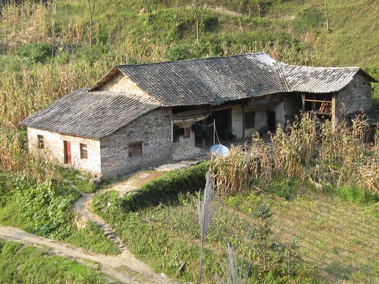 麻窩凼自然村(大水井行政村下轄自然村)