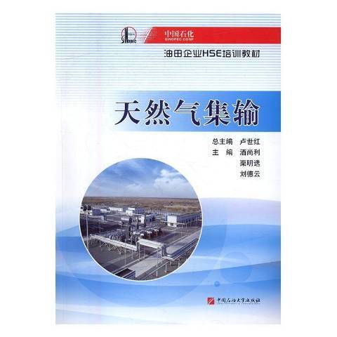 中國石化油田企業HSE培訓教材——天然氣集輸