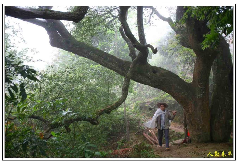 羅定明清冶鐵遺址