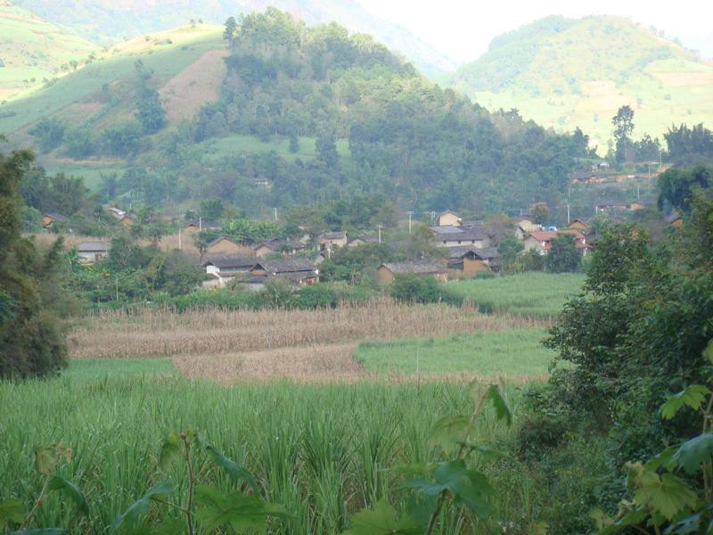 大坪子自然村(母享鎮灣溝村委會下轄自然村)