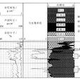 三孔隙度測井