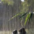 致一場年少的雨