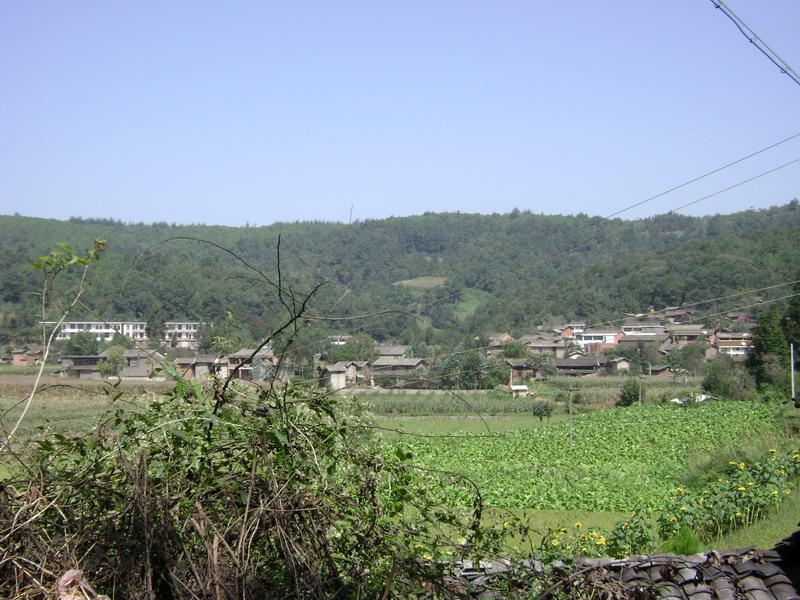 水塘村(雲南省紅河州瀘西縣午街鋪鎮水塘村)