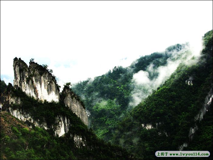 貴州省沿河縣新景鄉